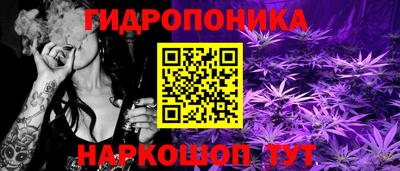 стафф Краснознаменск
