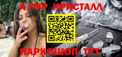 стафф Краснознаменск