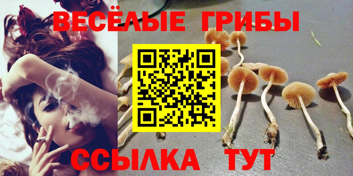 Карталы  Галлюциногенные грибы мухоморы  Вход с VPN 